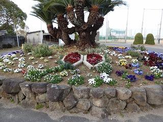 DSC05508.jpg