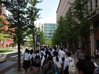 DSC06187.jpg