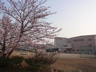 DSC07371.jpg