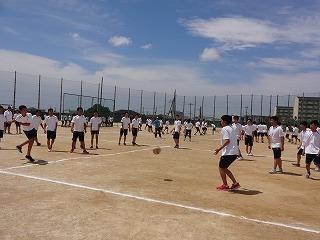 DSC08050.jpg