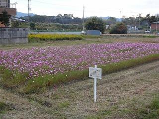DSC09415.jpg