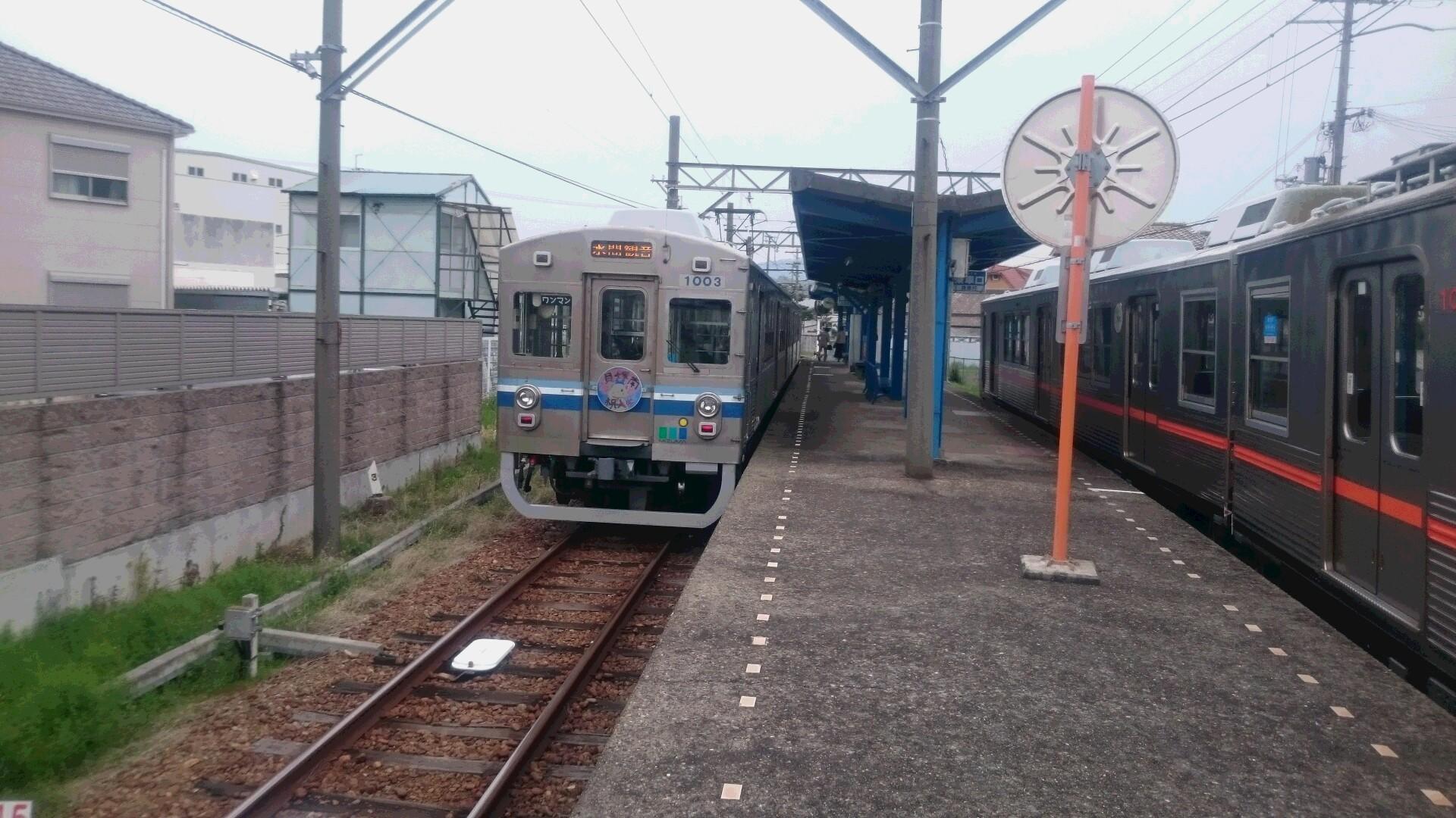 https://www.osaka-c.ed.jp/blog/kaizukaminami/kocho2/DSC_0082.JPG