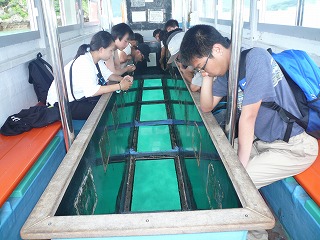 P1010197.jpg