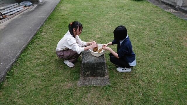 1206_37.jpg