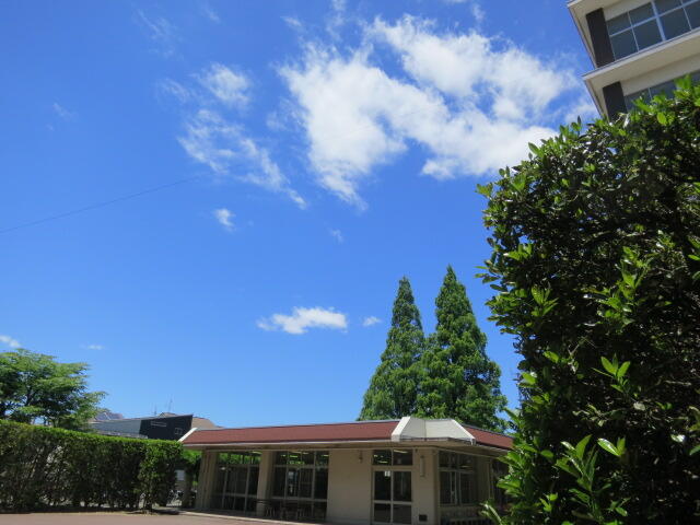 0529_青空 (3).JPG