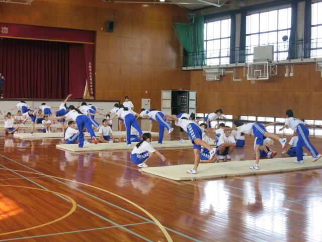 授業見学_マット運動 (3).JPG