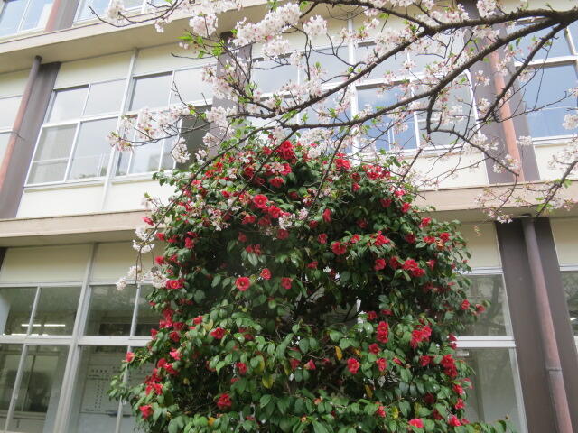 IMG_3596.JPG