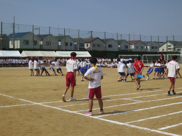 IMG_3762.JPG