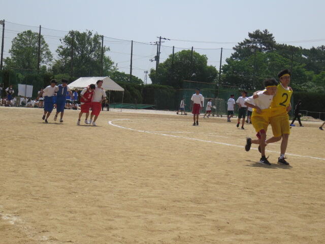 IMG_3766.JPG