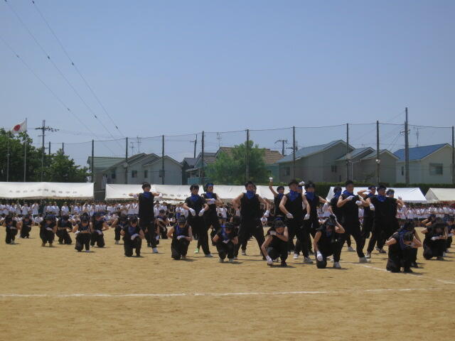 IMG_3769.JPG