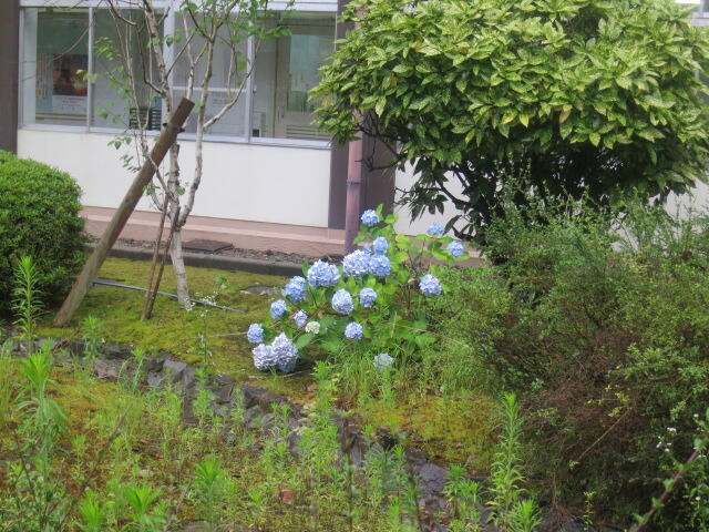IMG_3895.JPG