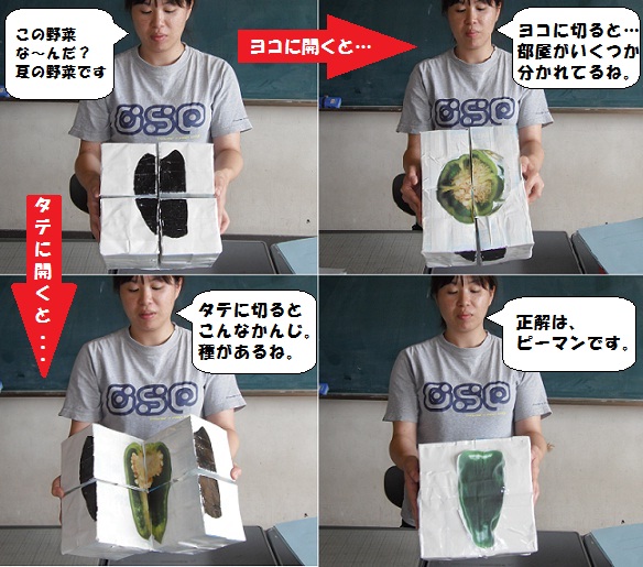 DSCF04160.JPG