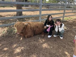 IMG_3203.jpeg