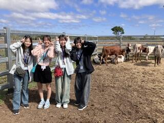 IMG_3205.jpeg