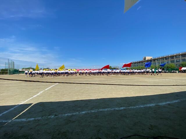 IMG_2786.jpeg