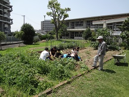 DSC02164.jpg