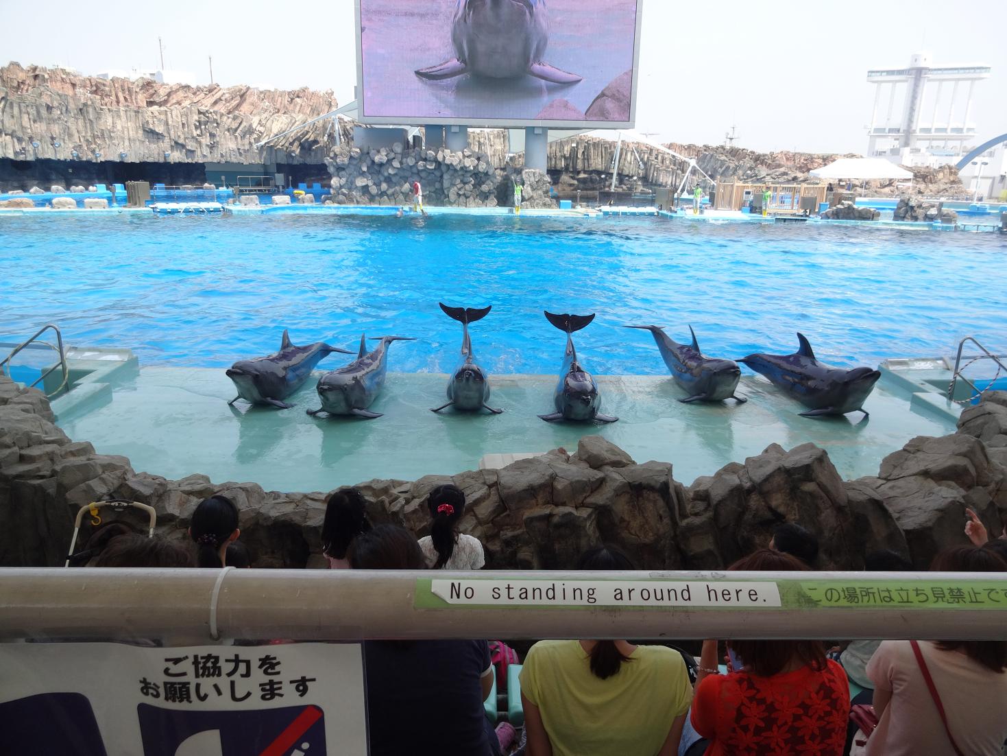 DSC02388改.jpg
