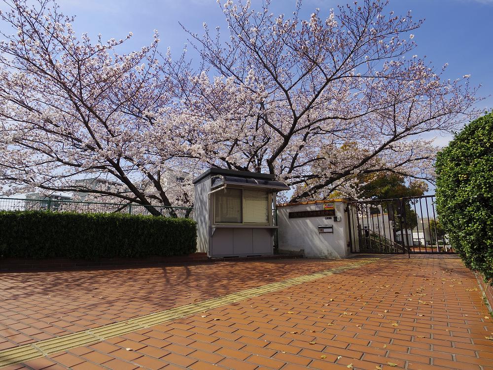 IMGP8832改.jpg