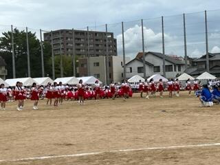 IMG_8607.jpg