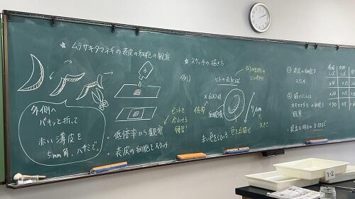 IMG_1781.jpeg