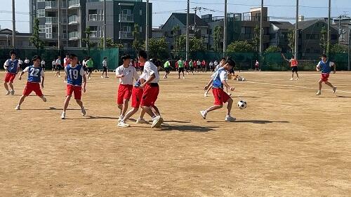 IMG_2101.jpeg