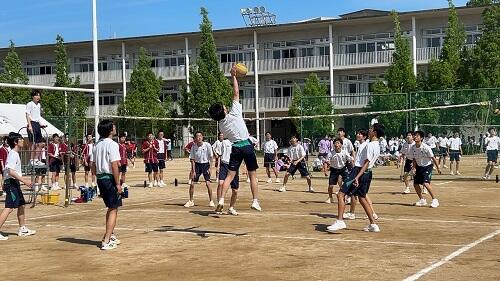 IMG_2106.jpeg
