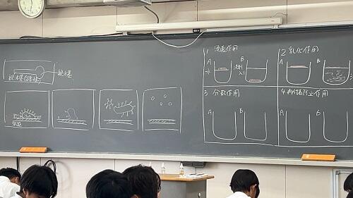 IMG_2683.jpeg