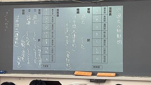 IMG_2933.jpeg