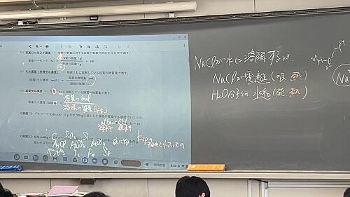 IMG_5907.jpeg