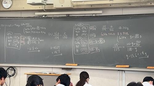 IMG_5912.jpeg