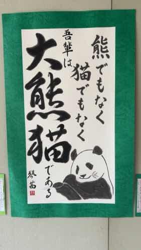 IOJP5638.JPG