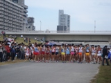 DSC02576size.JPG