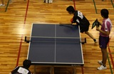 IMG_1129size.jpg