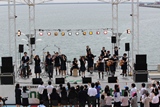 IMG_7346size.jpg