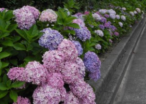 DSCN0217.JPG