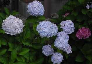 DSCN0219.JPG
