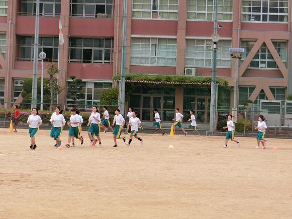 CIMG0482.JPG
