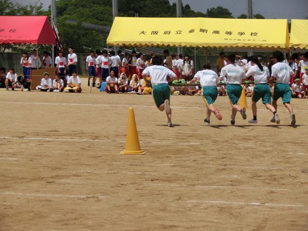CIMG9678.JPG