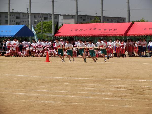 CIMG9681.JPG