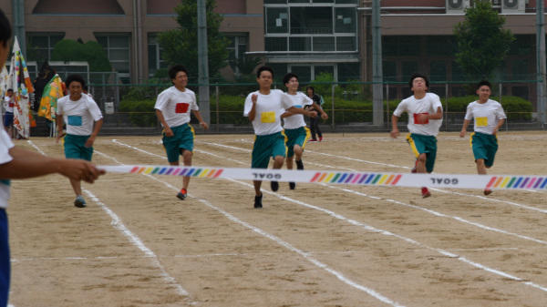 DSC_4317-1.jpg