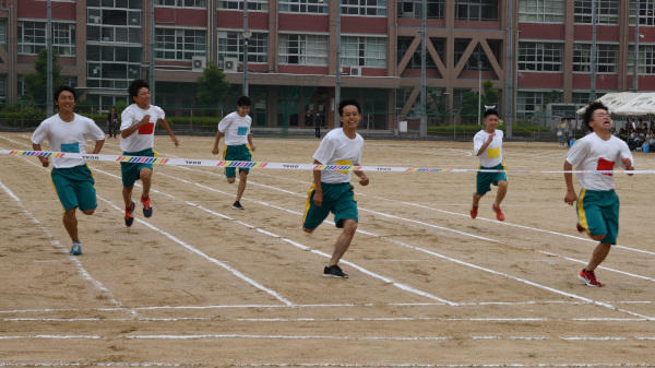 DSC_4324-1.jpg