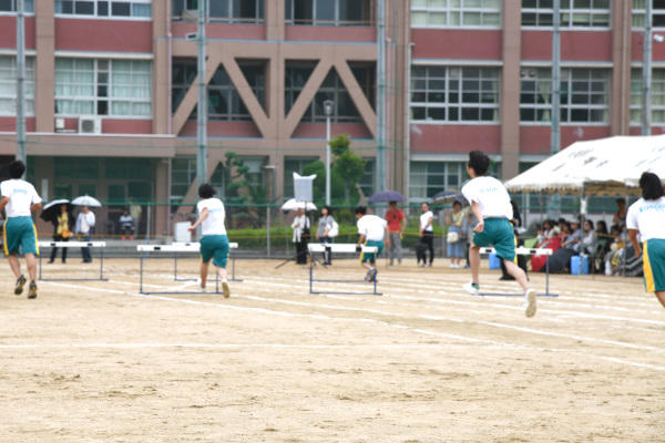DSC_4491.jpg