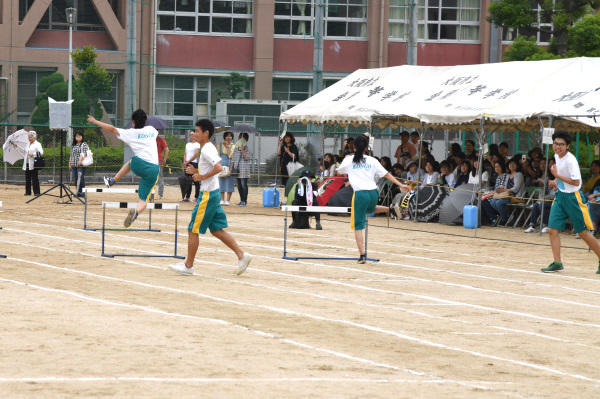 DSC_4510-1.jpg