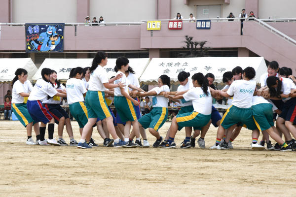 DSC_4664-1.jpg