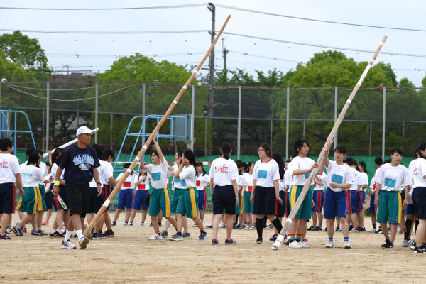 DSC_4673-1.jpg