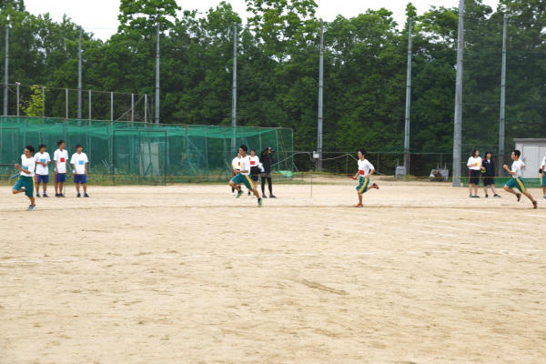 DSC_4846-1.jpg