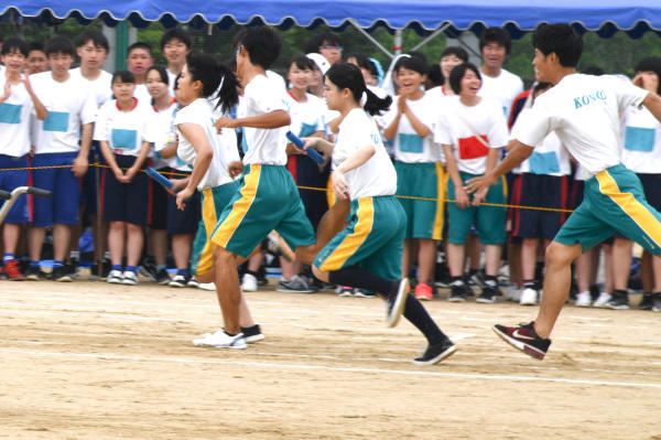 DSC_4886-1.jpg