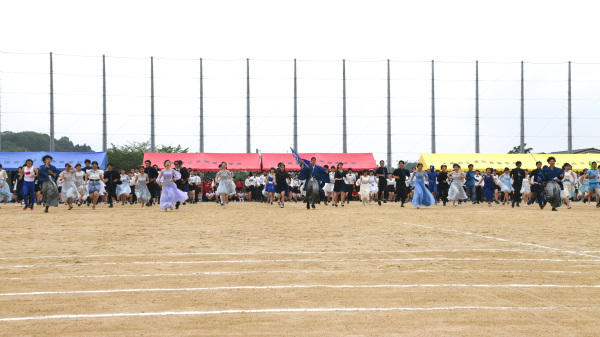 DSC_6576-01-1.jpg