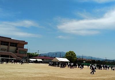20190508_114715515.jpg