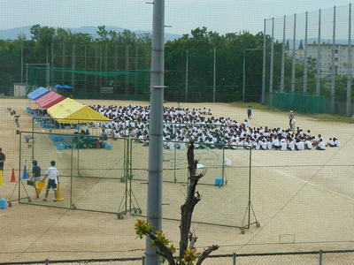 P1050176.JPG